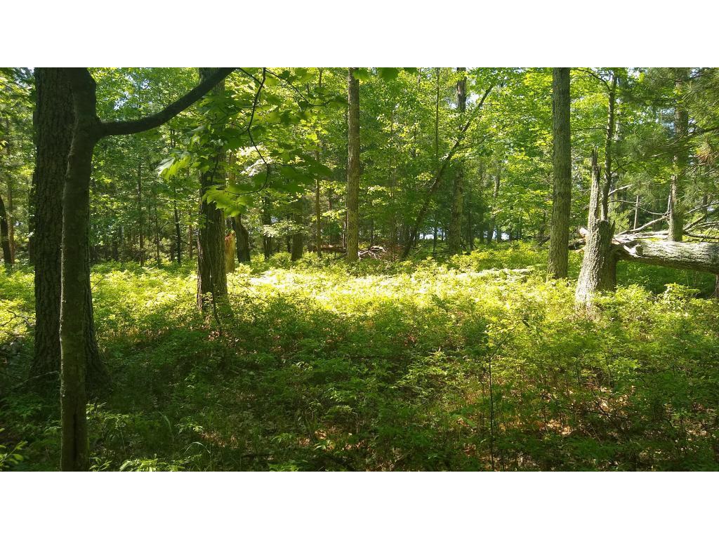 Lot 18 Palmborg Drive Danbury WI 54830 - Bass Lake 5580178 image1