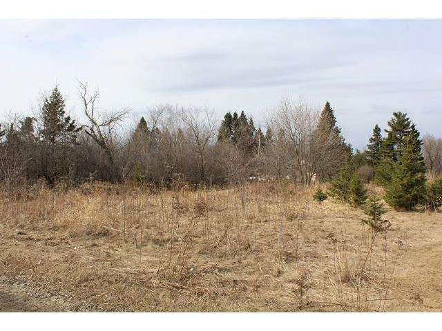 Lot 2 & 3 Mill Street SE Remer MN 56672 5431051 image1