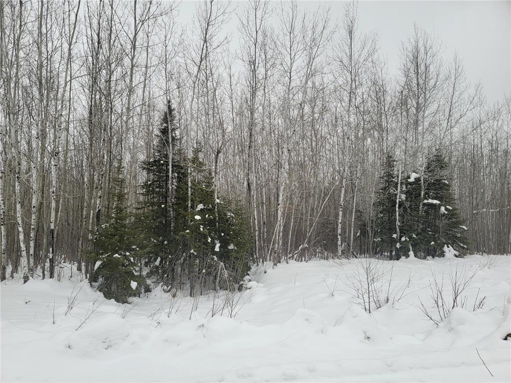 Lot 2 Bluff Creek Trail Oakland Twp WI 54880 6320595 image1