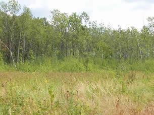 Lot 23 Bluff Creek Trails Superior WI 54880 5353853 image1