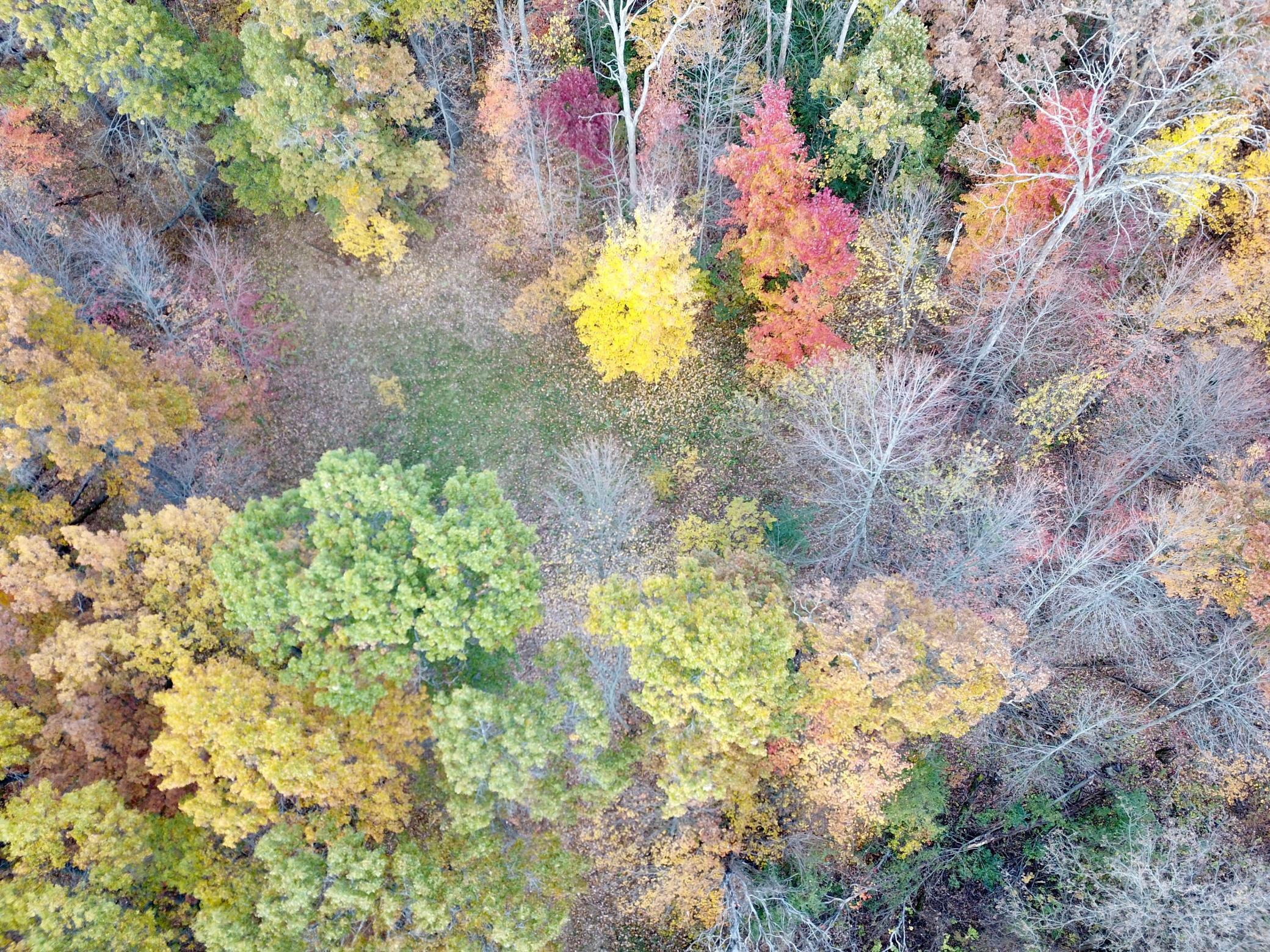 Lot 8 90th Avenue Osceola Twp WI 54009 6119909 image1
