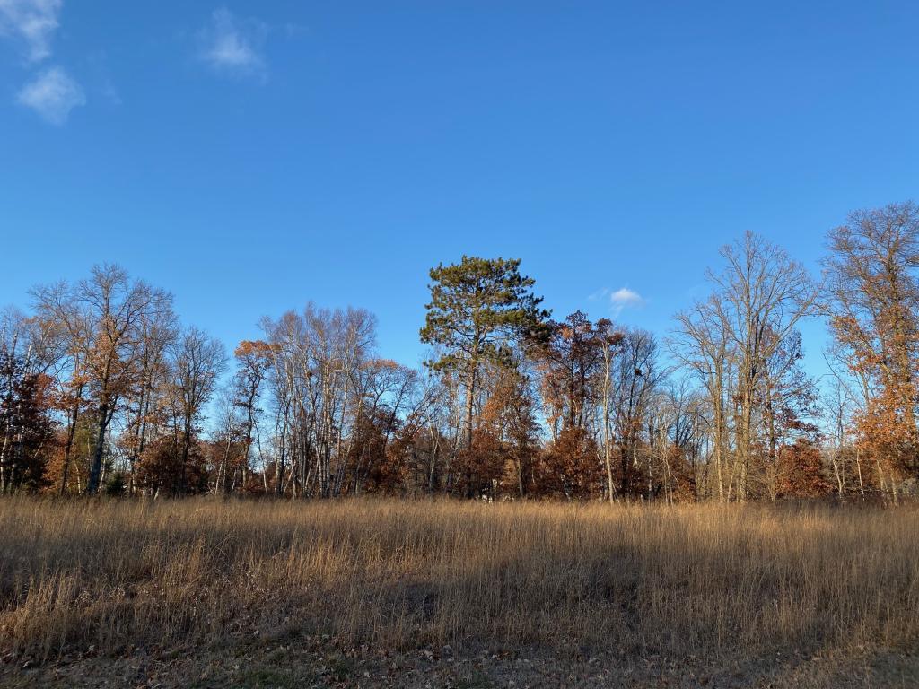 Lot5.Block1 Bald Eagle Trail Crosslake MN 56442 5332213 image1