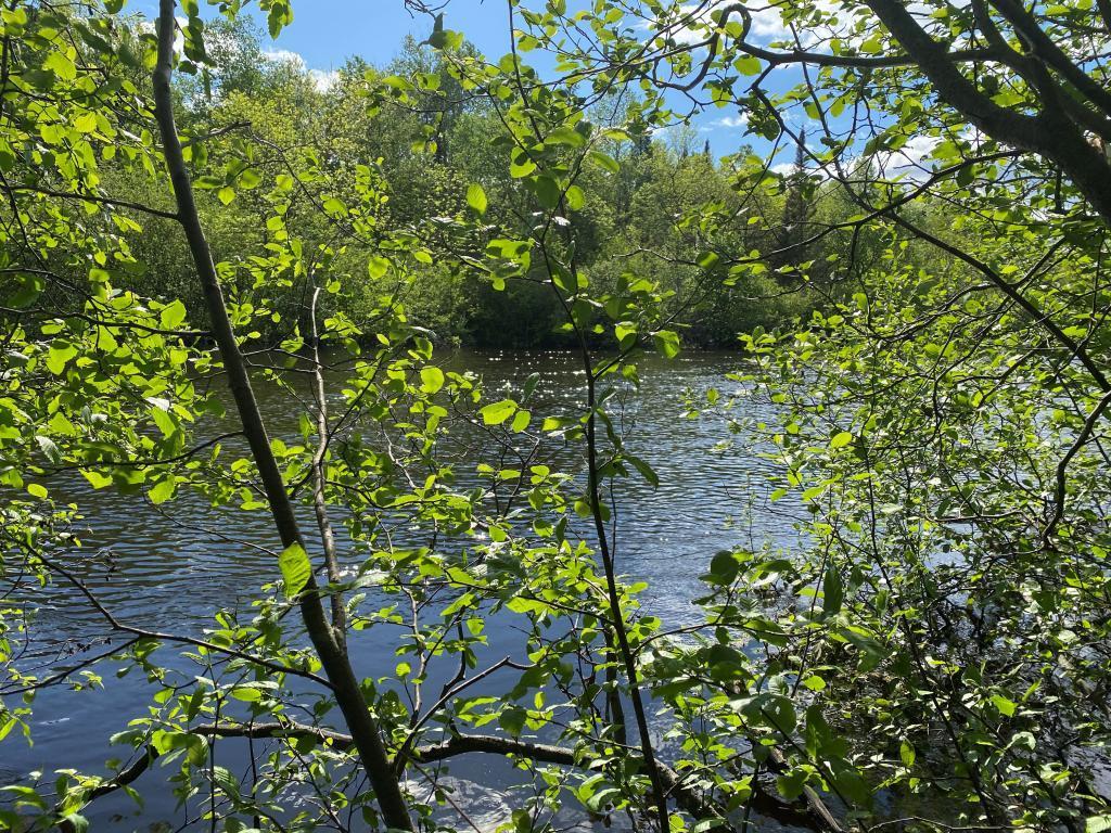 Lots 12-13 Bechtel Road Couderay WI 54867 - Couderay River 5574195 image1