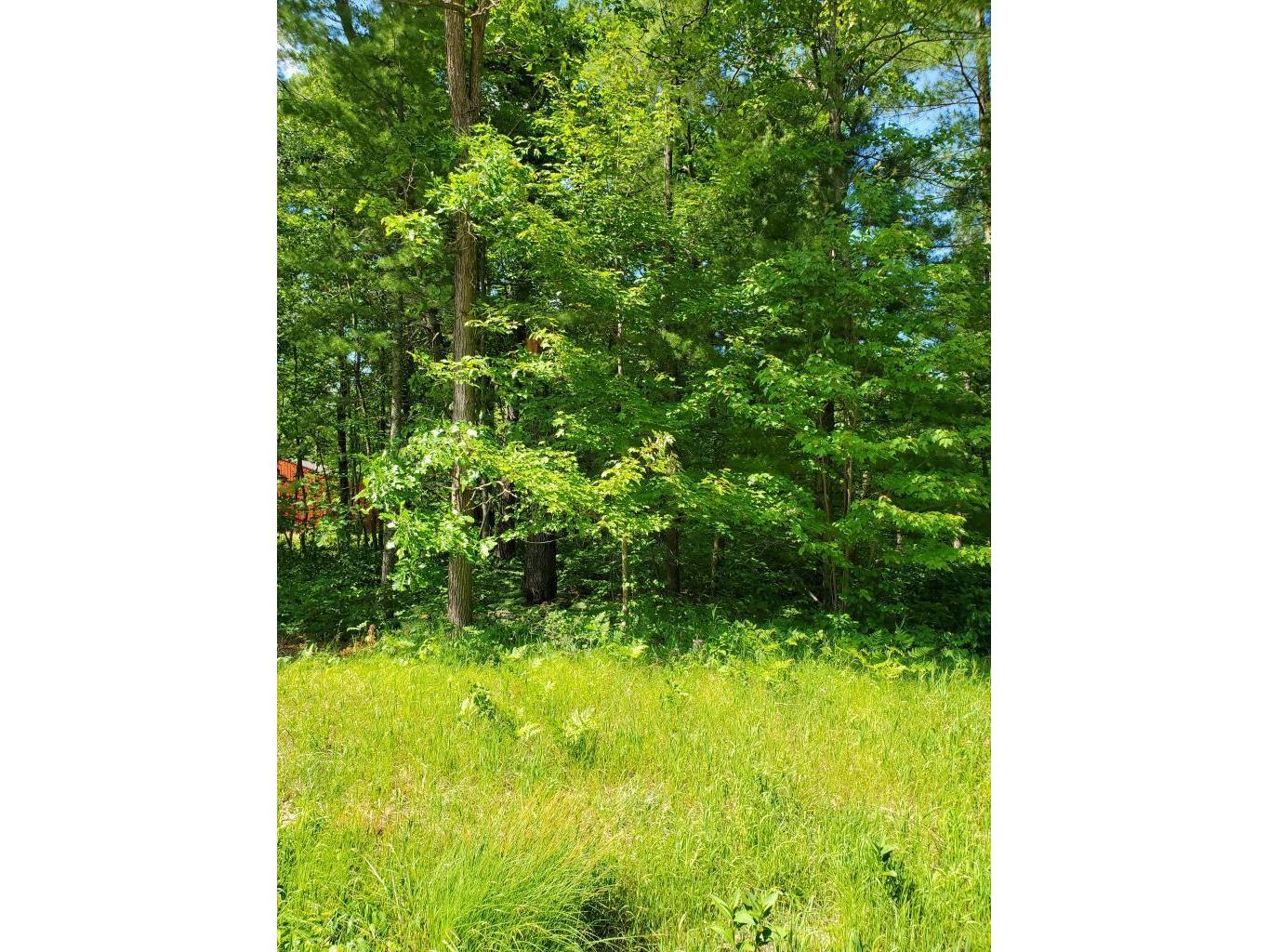 TBD 330th street Scandia Valley Twp MN 56466 5579998 image1