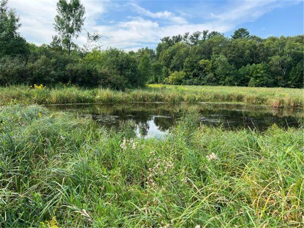 TBD Balsam Avenue W Nessel Twp MN 55006 6257825 image1