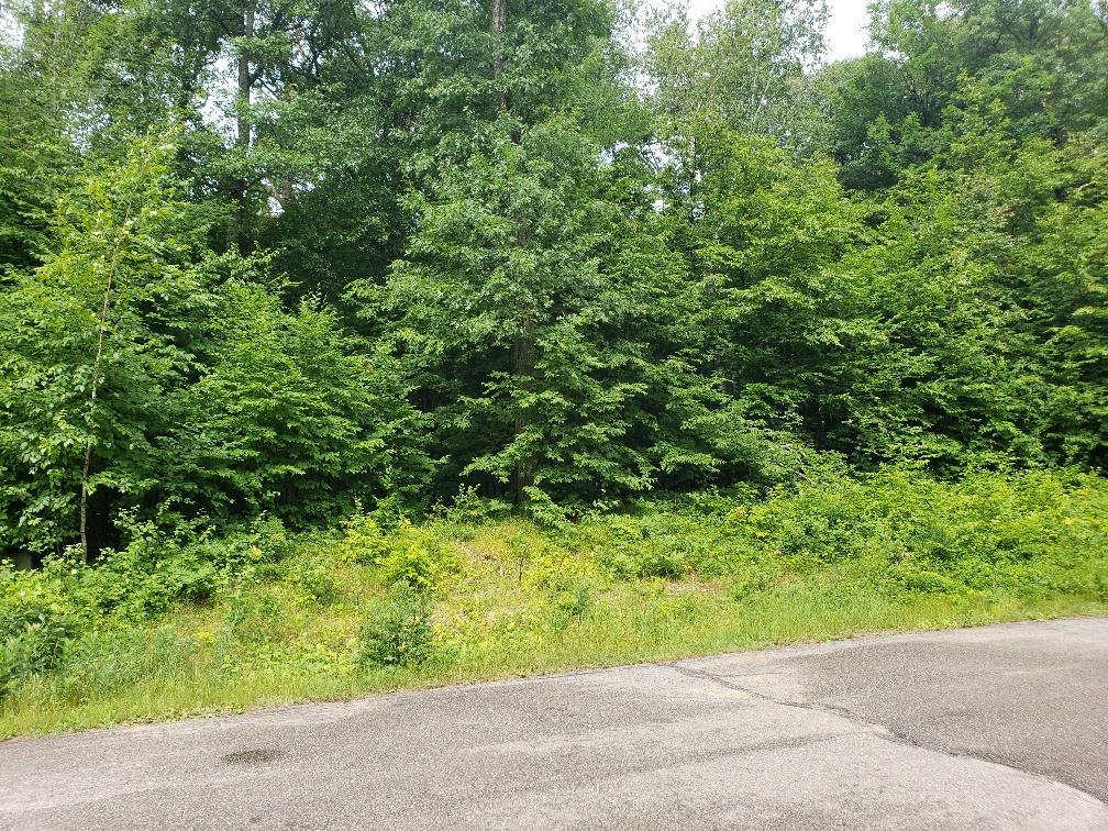 TBD Castlewood Court Breezy Point MN 56472 5620505 image1