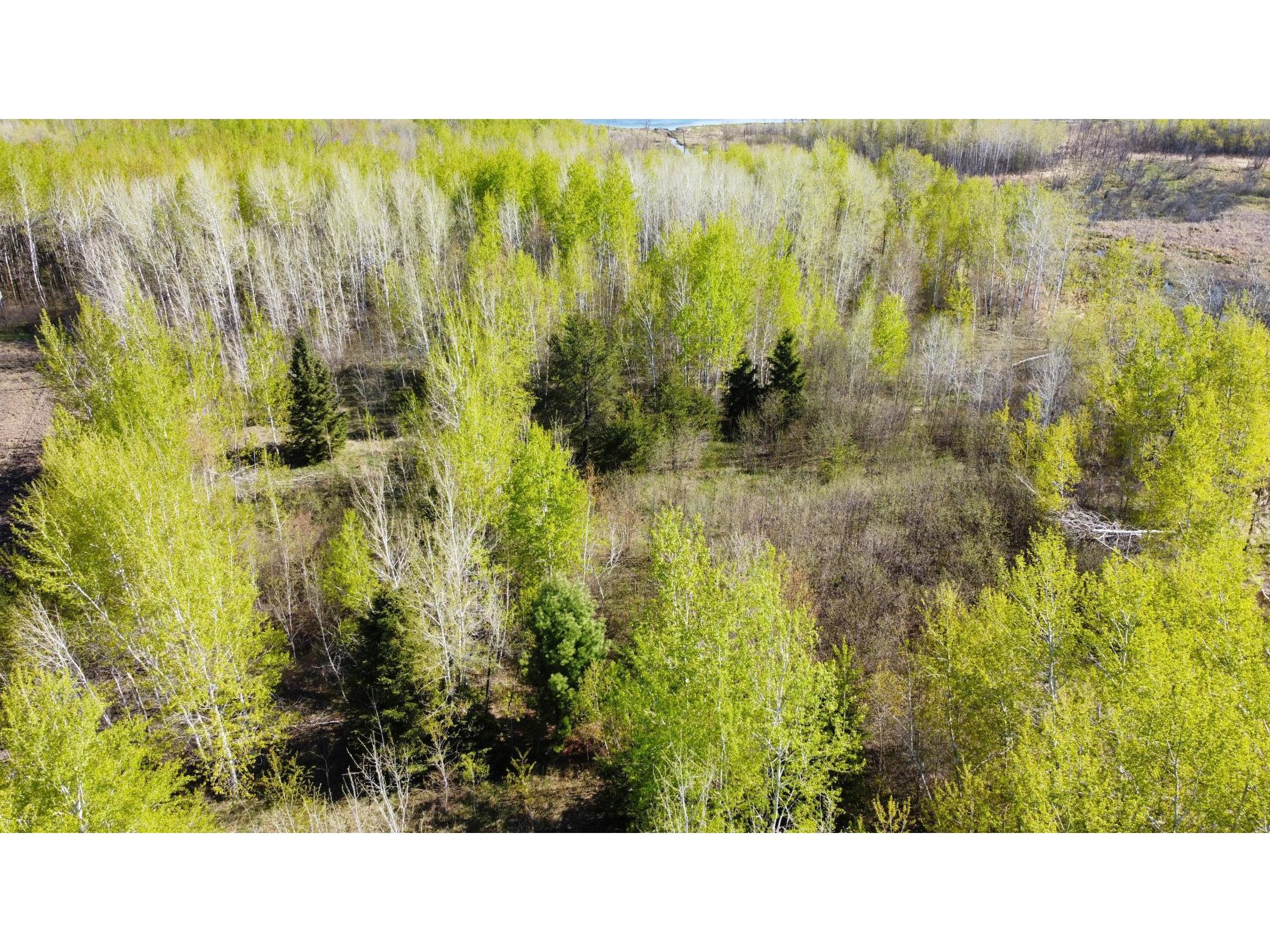 TBD County RD 45 Brainerd MN 56401 5753074 image1