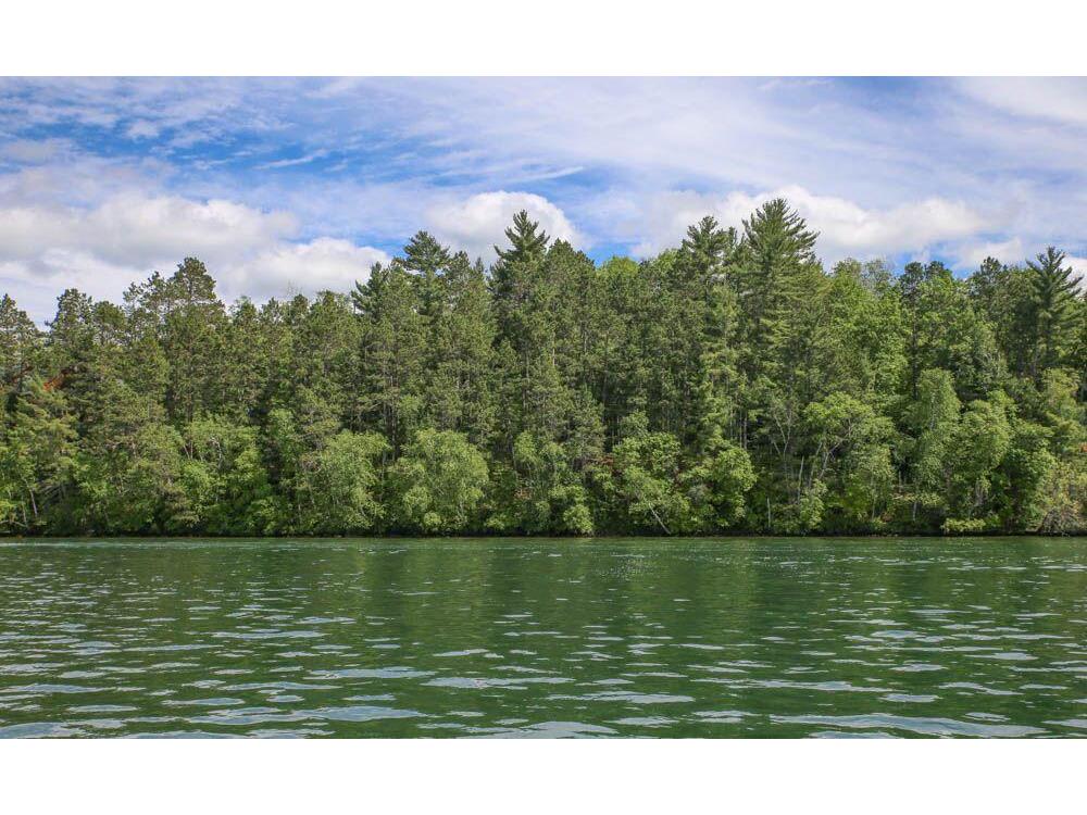 TBD Fox Hill Trail NW Hackensack MN 56452 - Woman  5704686 image1