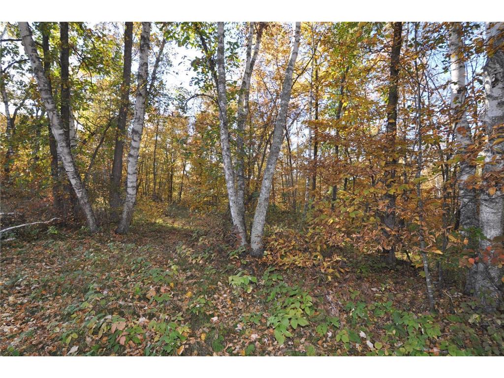 TBD Grand Vista Dr Nevis MN 56467 - Clausens 6354178 image11