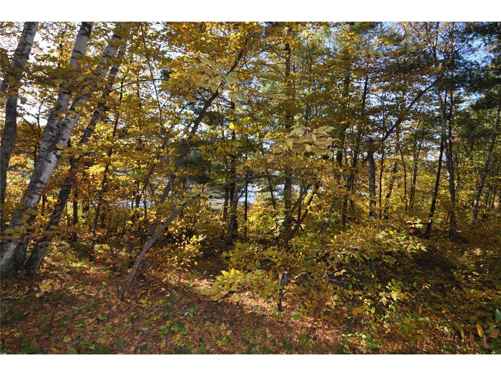 TBD Grand Vista Dr Nevis MN 56467 - Clausens 6354178 image13