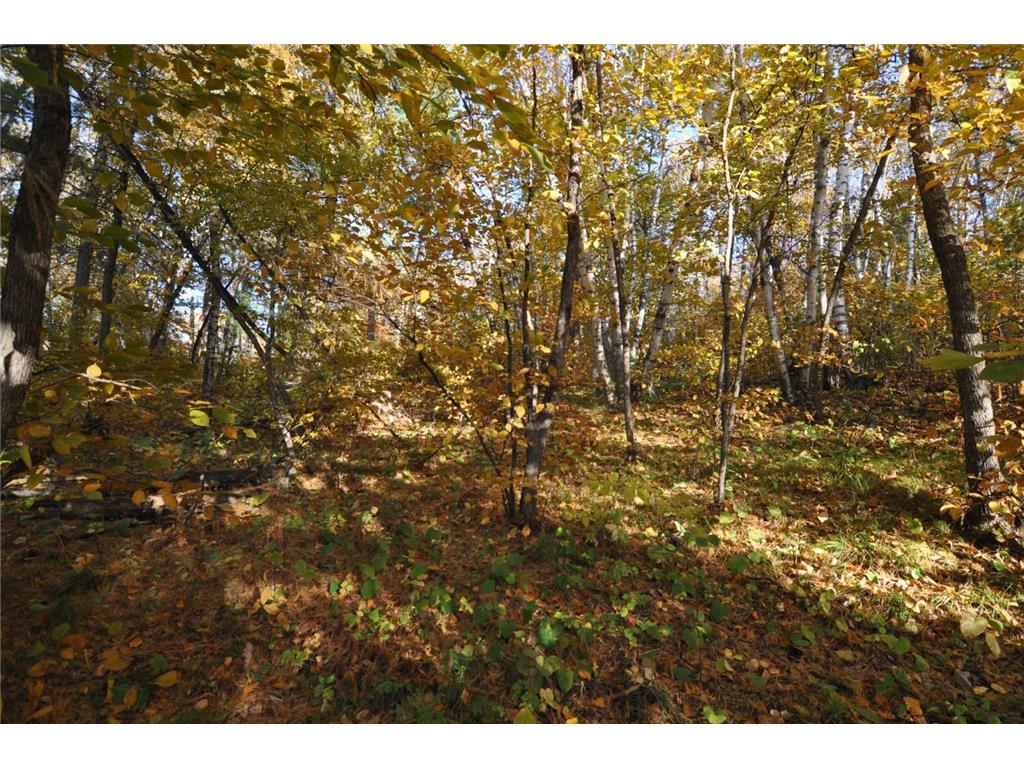 TBD Grand Vista Dr Nevis MN 56467 - Clausens 6354178 image14