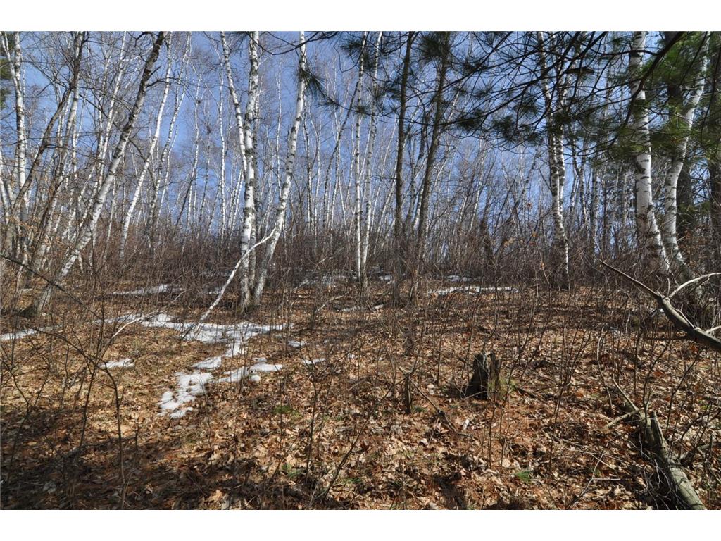 TBD Grand Vista Dr Nevis MN 56467 - Clausens 6354178 image4
