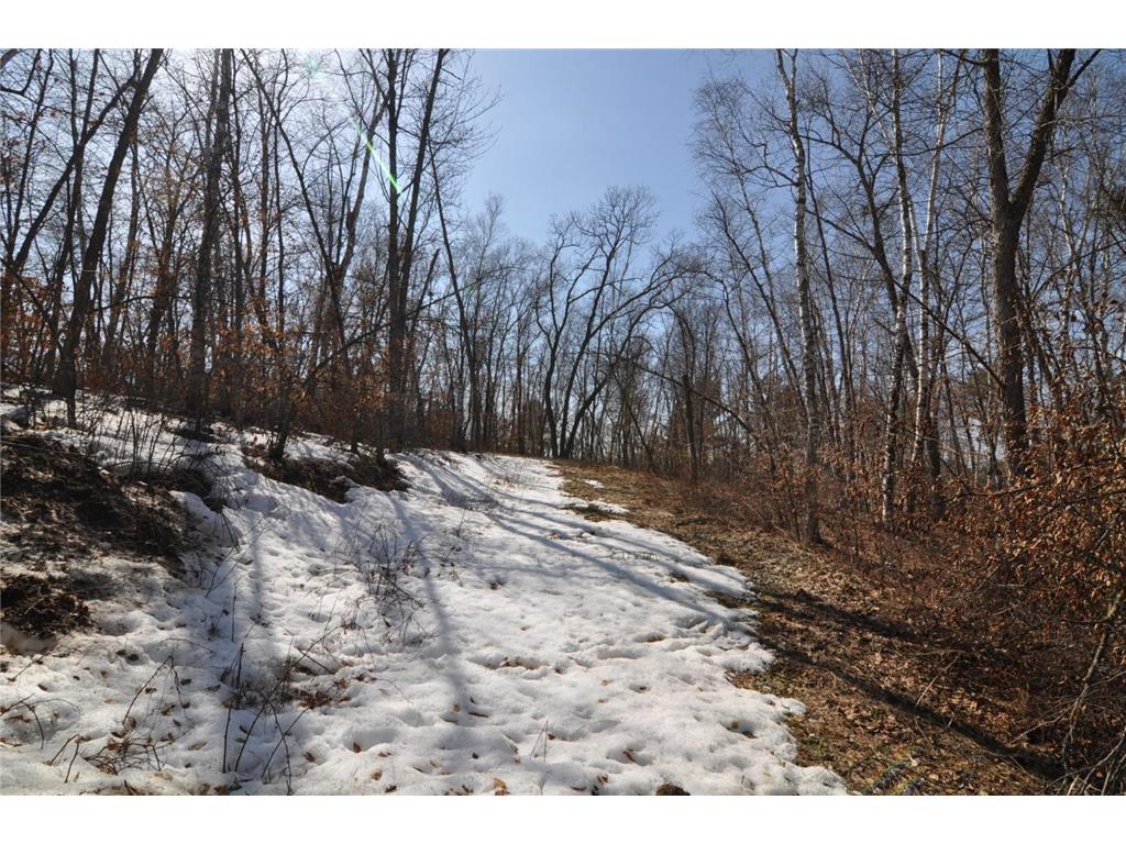 TBD Grand Vista Dr Nevis MN 56467 - Clausens 6354178 image6