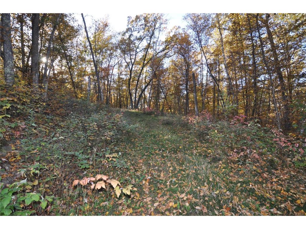 TBD Grand Vista Dr Nevis MN 56467 - Clausens 6354178 image7