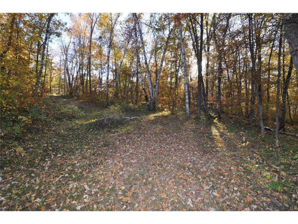 TBD Grand Vista Dr Nevis MN 56467 - Clausens 6354178 image8