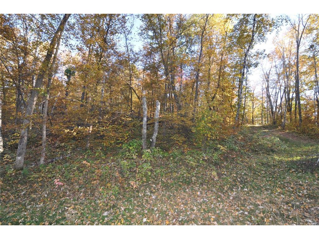 TBD Grand Vista Dr Nevis MN 56467 - Clausens 6354178 image9