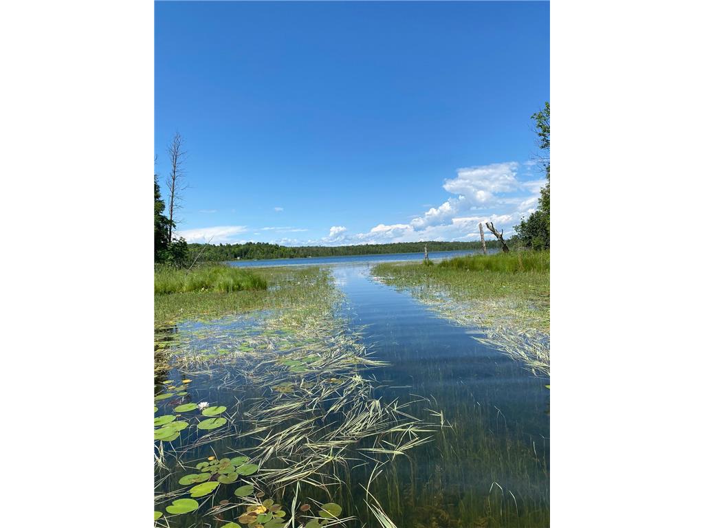 TBD Parcel D County 5 Hackensack MN 56452 - Lost Lake  6226435 image10
