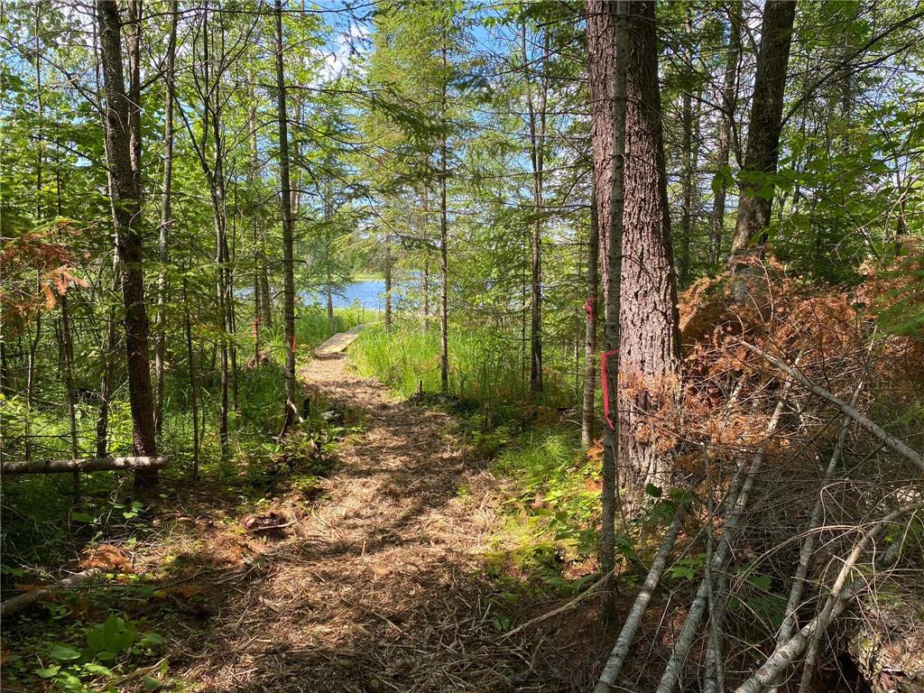 TBD Parcel D County 5 Hackensack MN 56452 - Lost Lake  6226435 image3