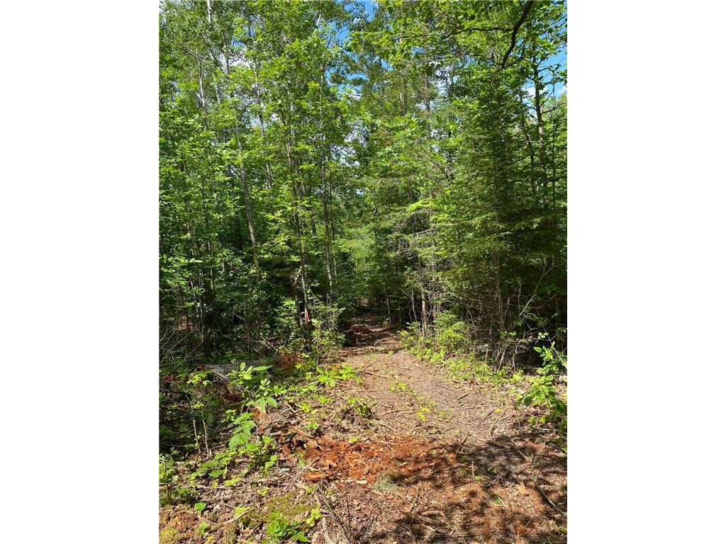 TBD Parcel D County 5 Hackensack MN 56452 - Lost Lake  6226435 image6