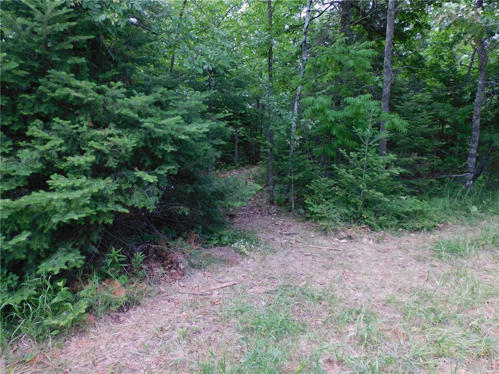 TBD Parcel D County 5 Hackensack MN 56452 - Lost Lake  6226435 image7
