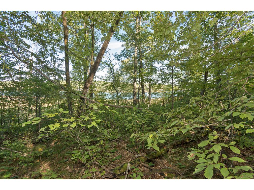 Tract A Cooley Drive Garrison MN 56450 - Camp Lake 4913533 image1