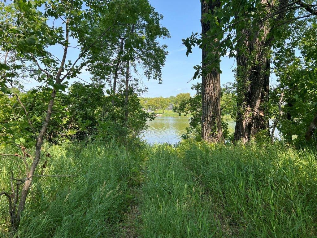 XXX 12th Street NW Willmar MN 56201 - Long Lake 6253065 image15