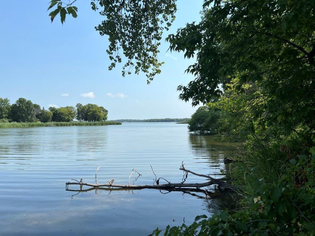 XXX 12th Street NW Willmar MN 56201 - Long Lake 6253065 image16