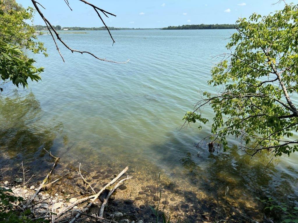 XXX 12th Street NW Willmar MN 56201 - Long Lake 6253065 image19