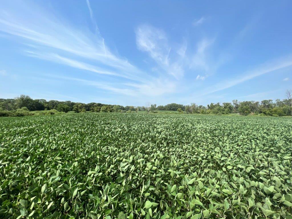 XXX 12th Street NW Willmar MN 56201 - Long Lake 6253065 image21