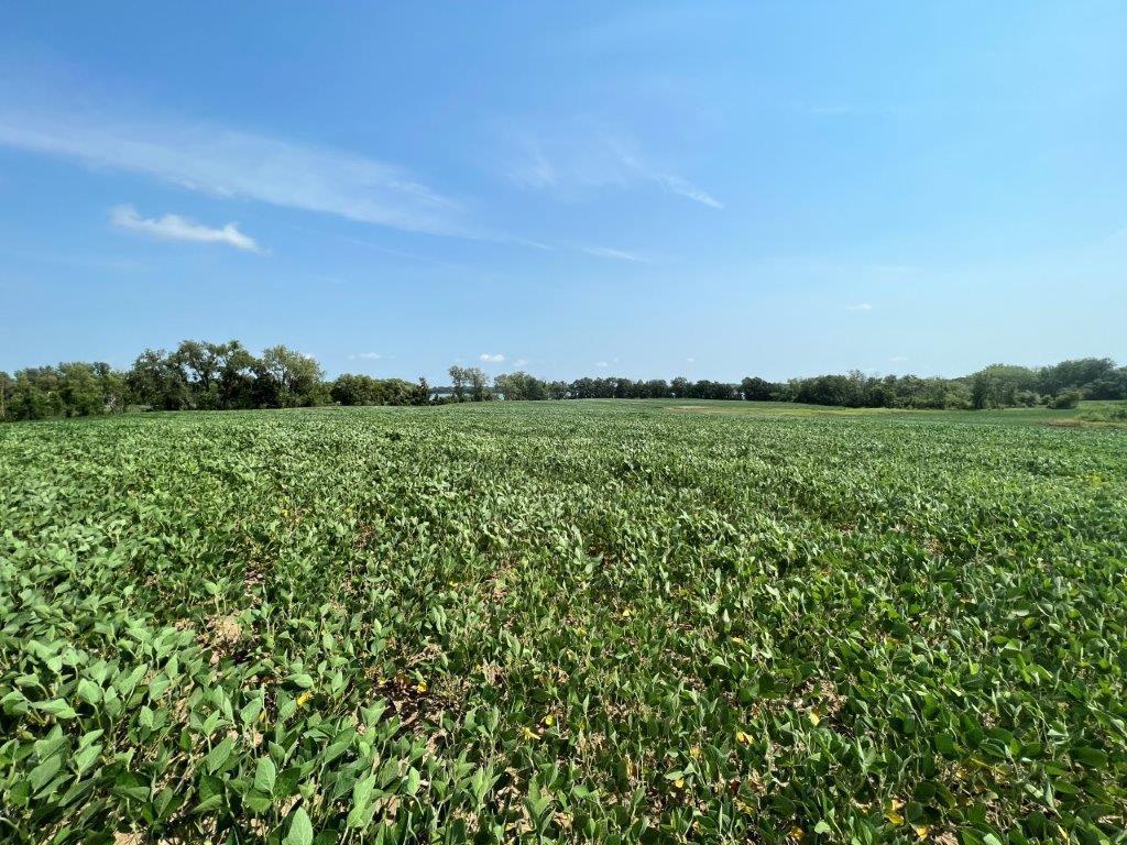 XXX 12th Street NW Willmar MN 56201 - Long Lake 6253065 image22