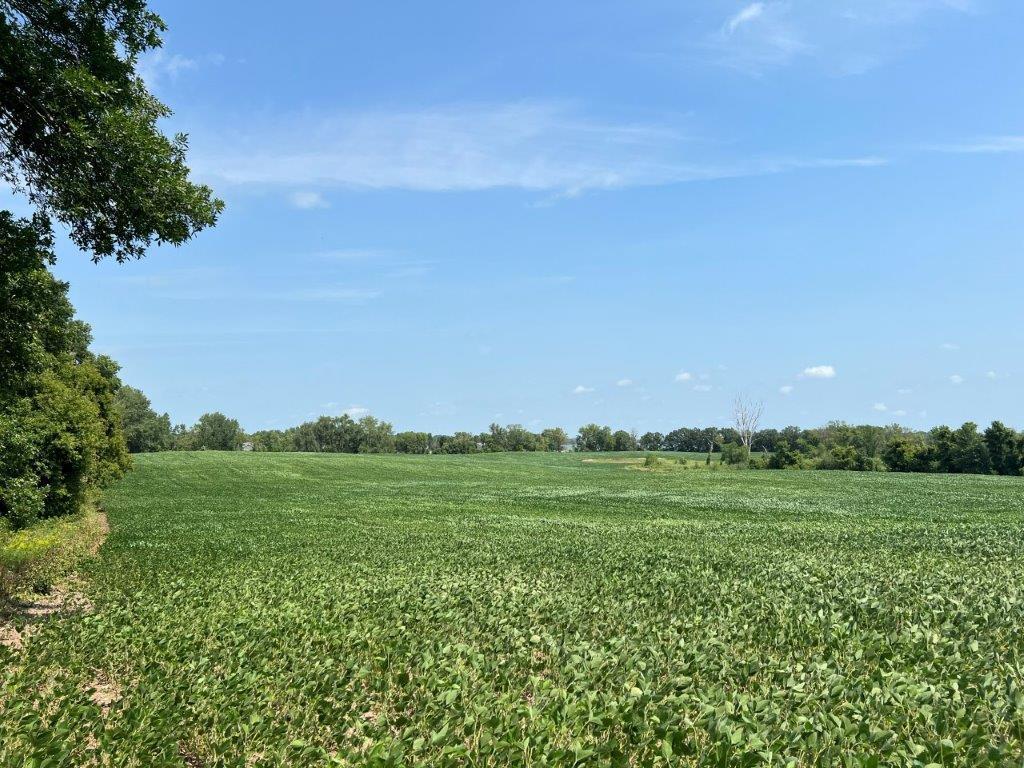 XXX 12th Street NW Willmar MN 56201 - Long Lake 6253065 image24