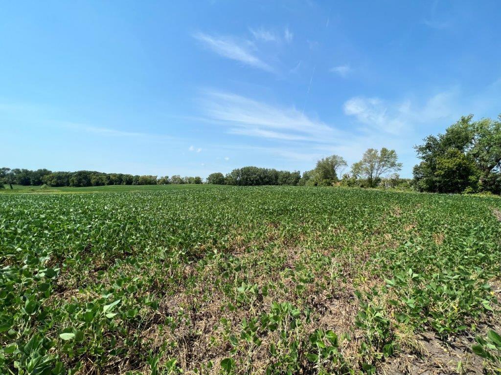 XXX 12th Street NW Willmar MN 56201 - Long Lake 6253065 image25