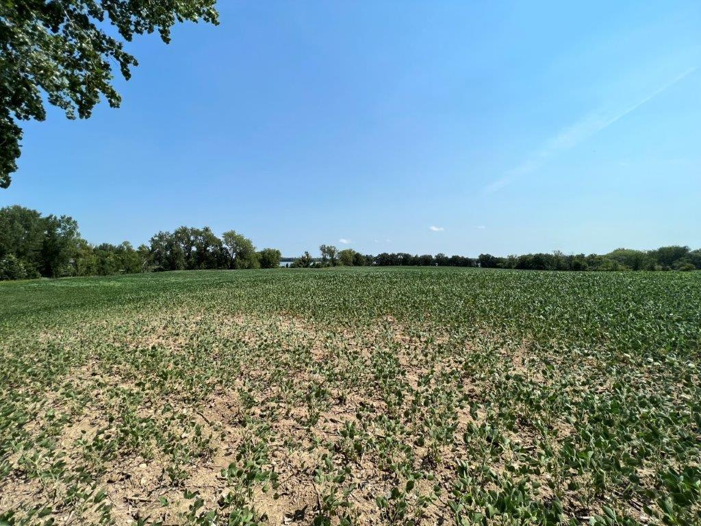 XXX 12th Street NW Willmar MN 56201 - Long Lake 6253065 image27