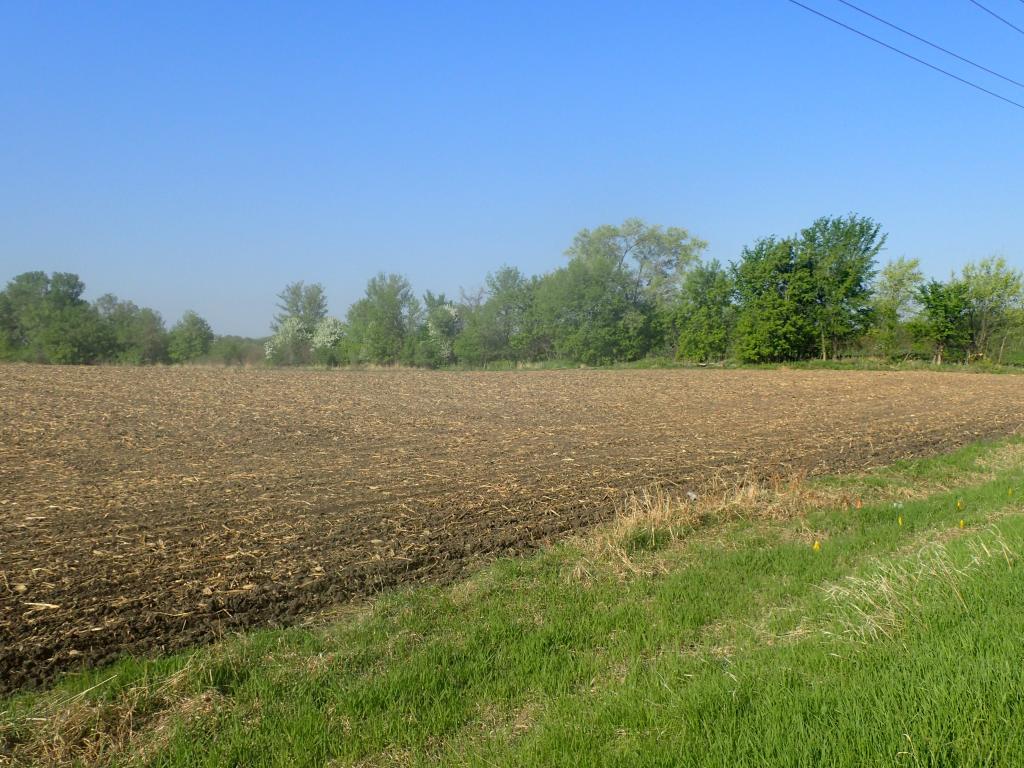 XXX 44.91 County Road 39 NE Otsego MN 55362 5284533 image1