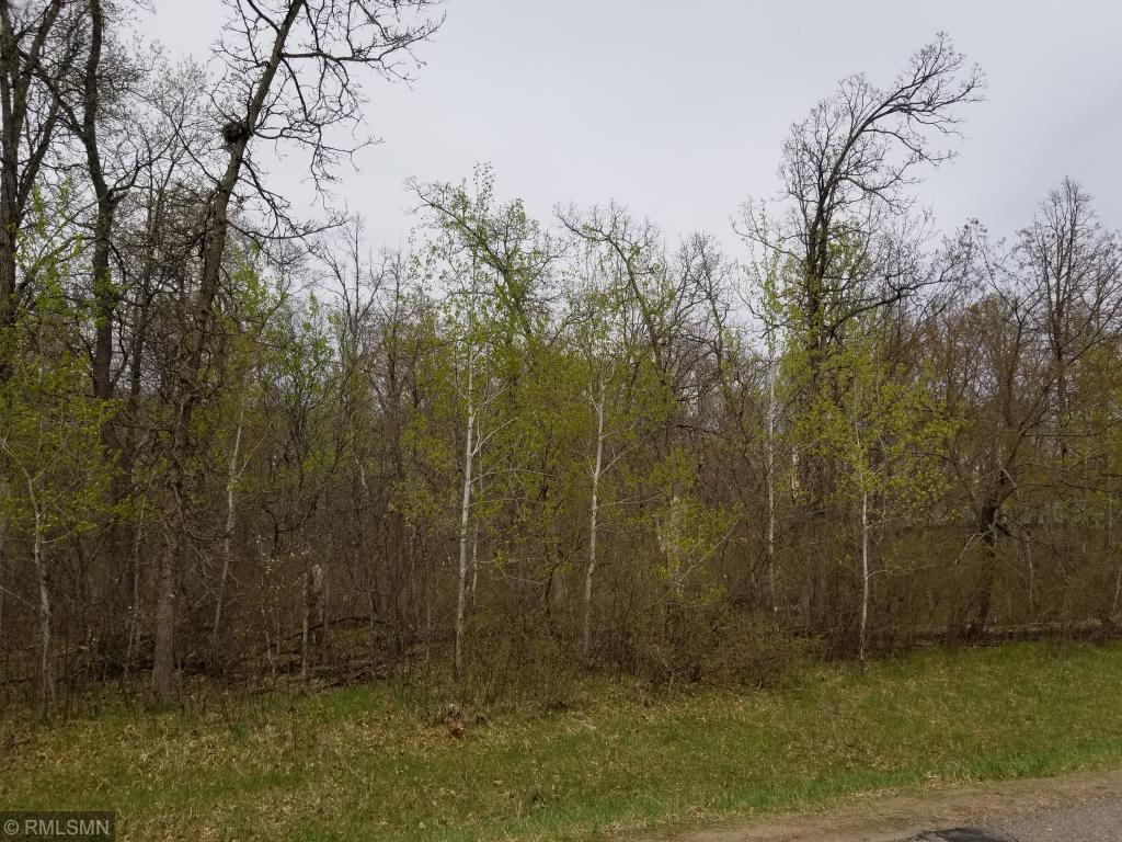 XXX Dancing Bear Dr Crosslake MN 56442 5232812 image1