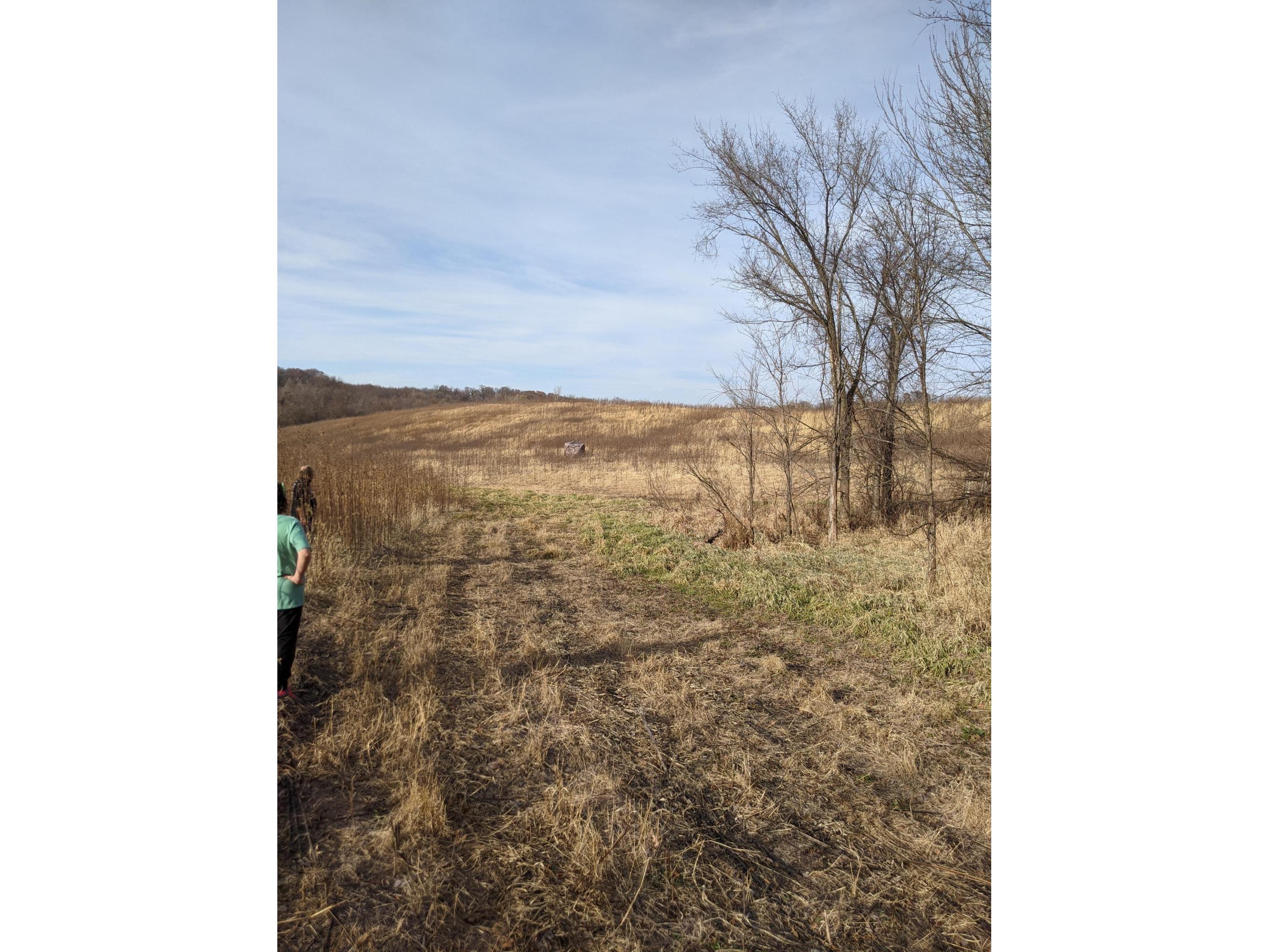 XXX Elmore Avenue Lonsdale MN 55046 5684246 image1