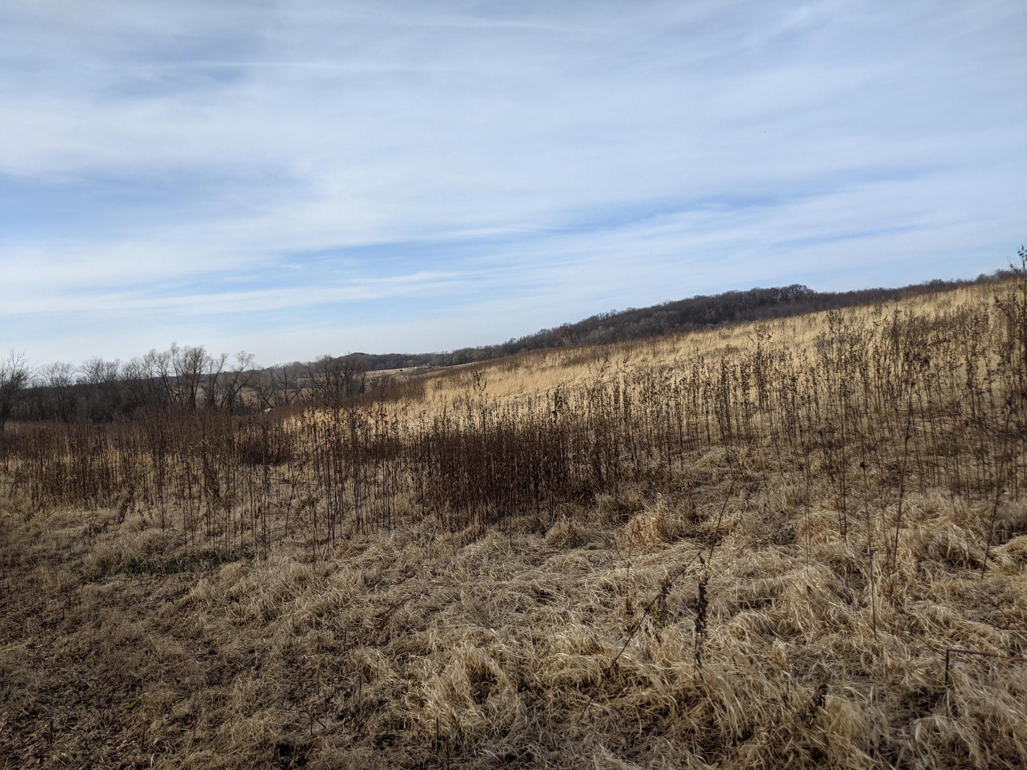 XXX Elmore Avenue Lonsdale MN 55046 5684246 image14