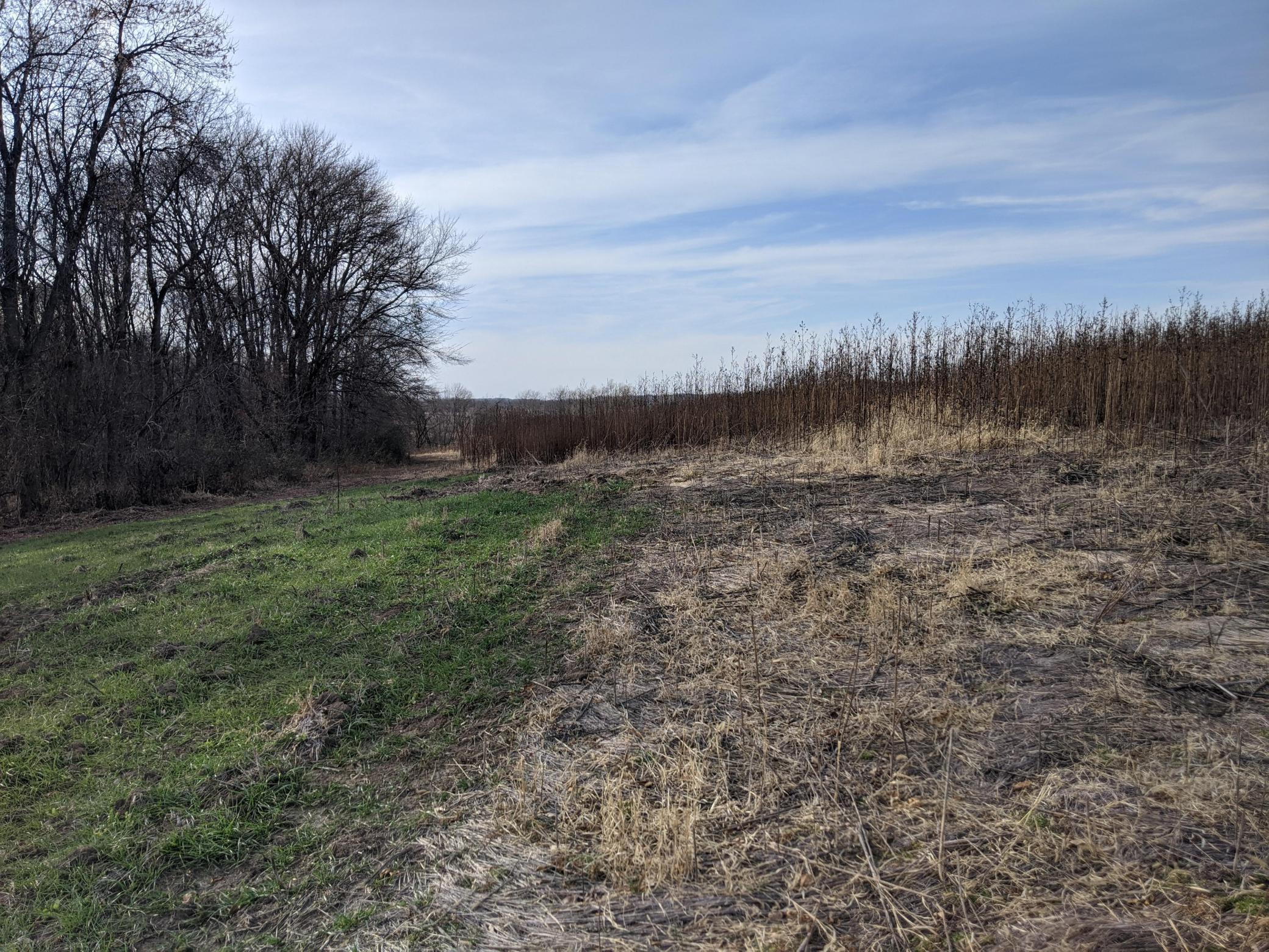 XXX Elmore Avenue Lonsdale MN 55046 5684246 image18