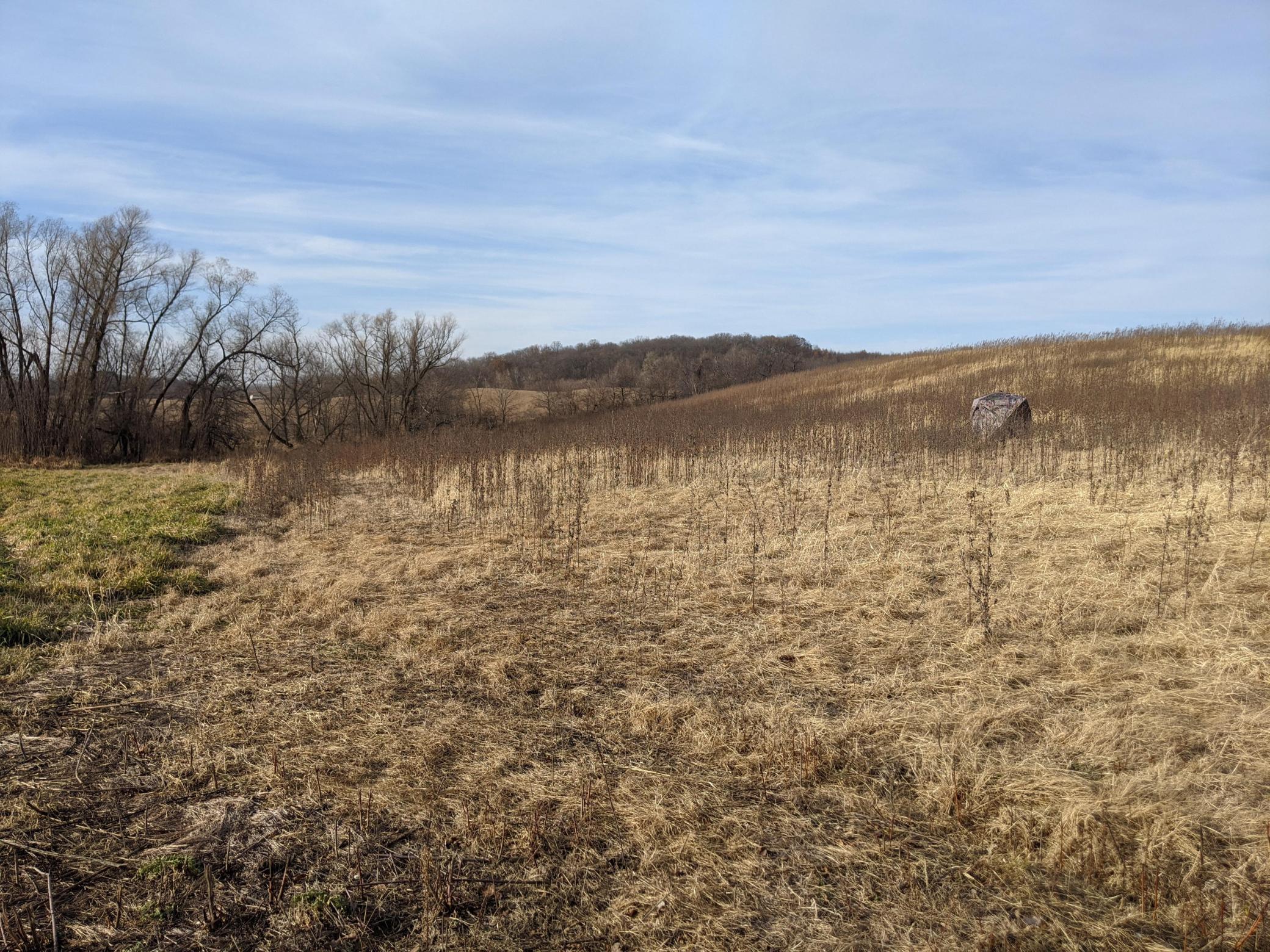 XXX Elmore Avenue Lonsdale MN 55046 5684246 image20
