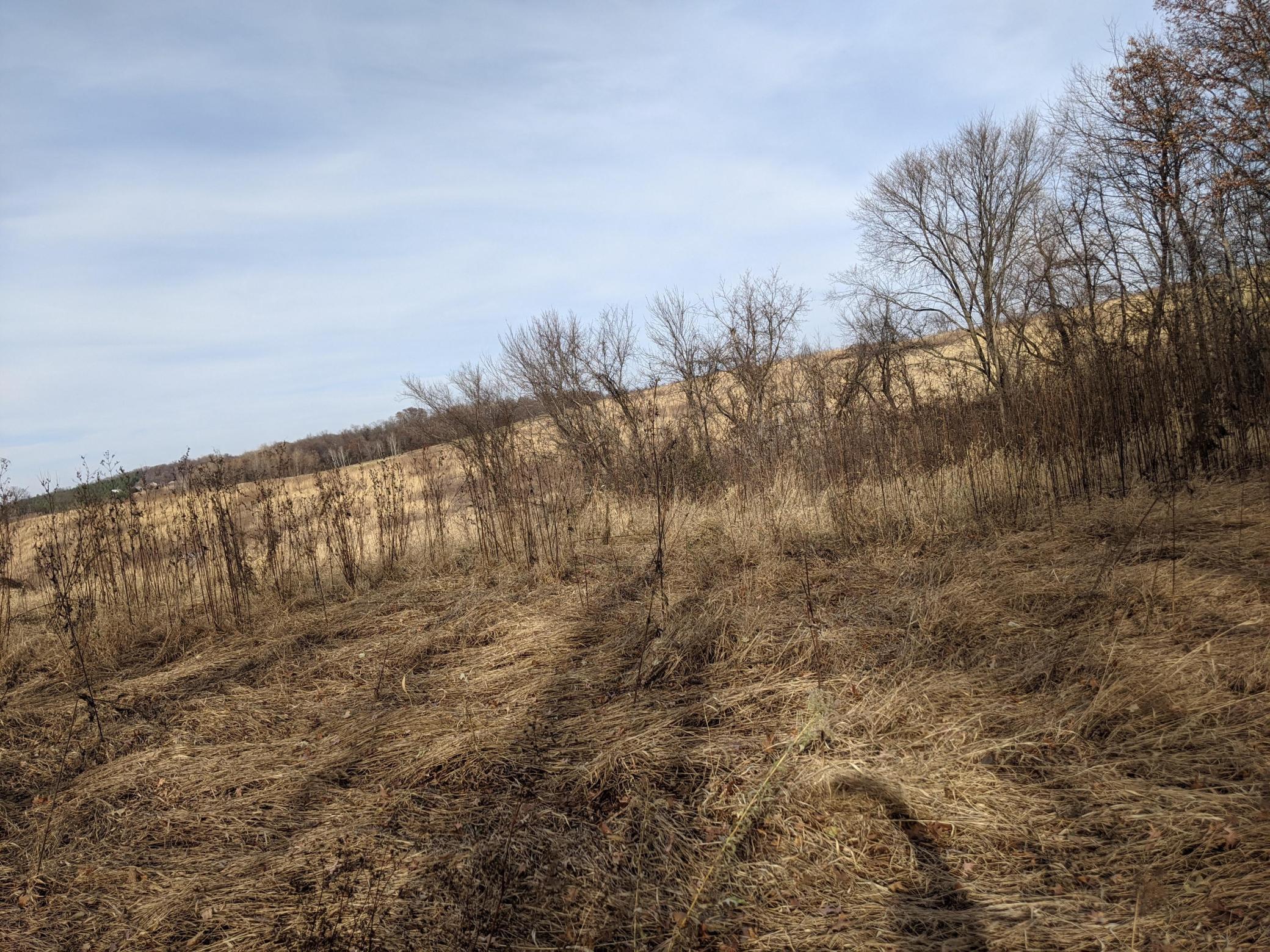 XXX Elmore Avenue Lonsdale MN 55046 5684246 image9