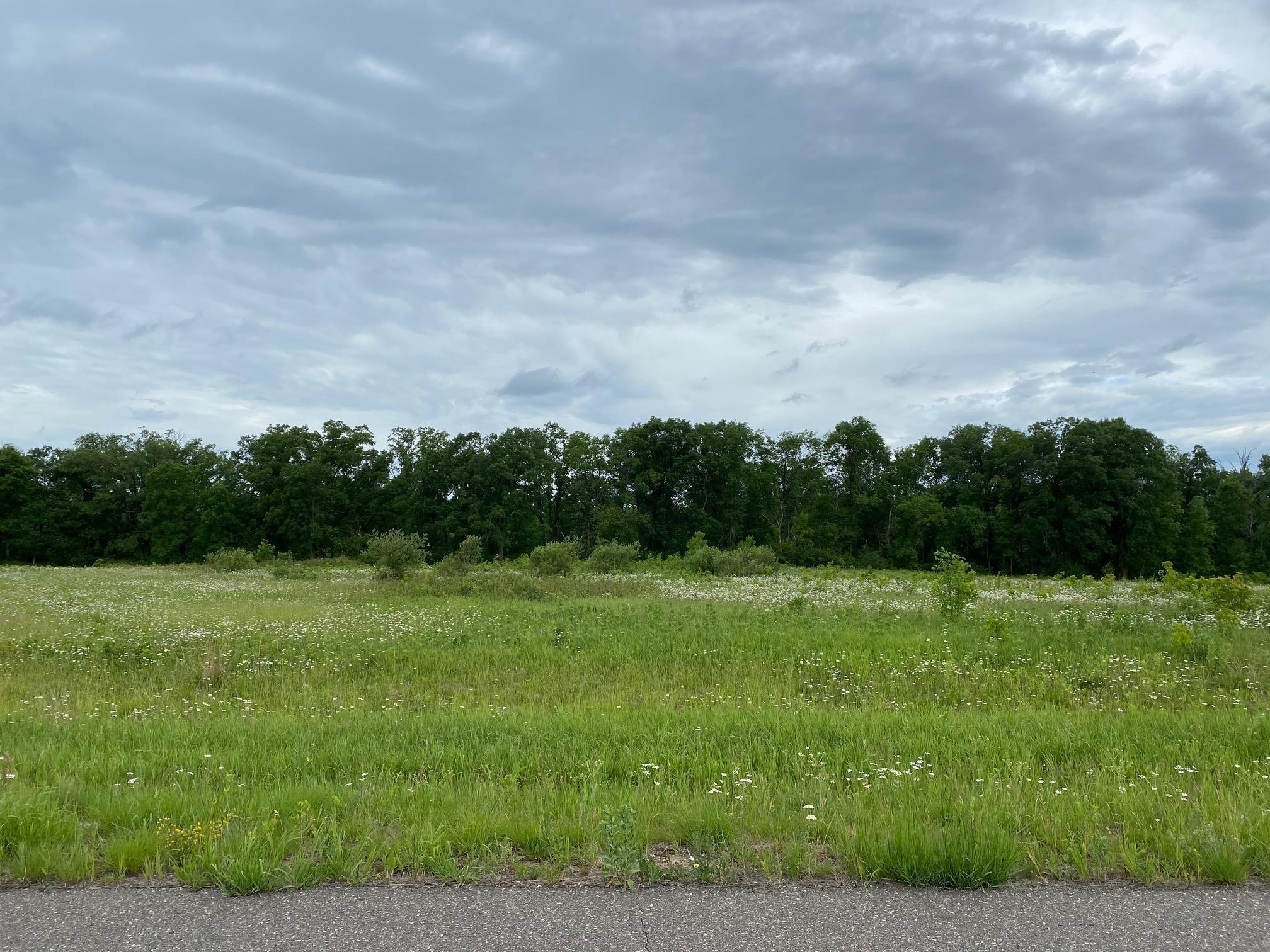 XXX Homebrook Trail NW Pequot Lakes MN 56472 - Home Brook 5616781 image1