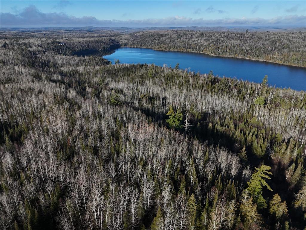 XXXX Gunflint Trail Grand Marais MN 55604 - Loon 6631595 image9