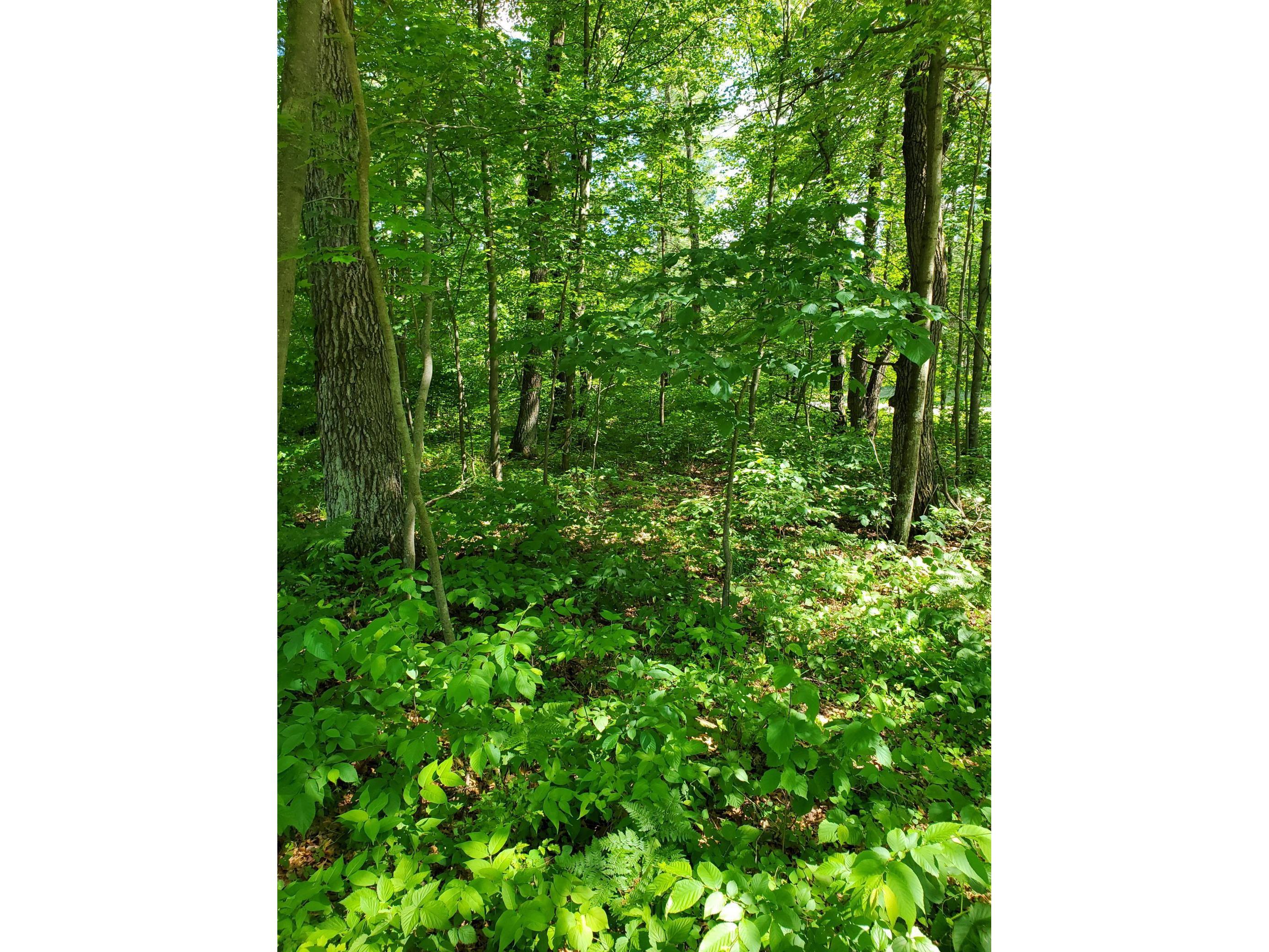 xxx 330th st Scandia Valley Twp MN 56466 5611698 image1