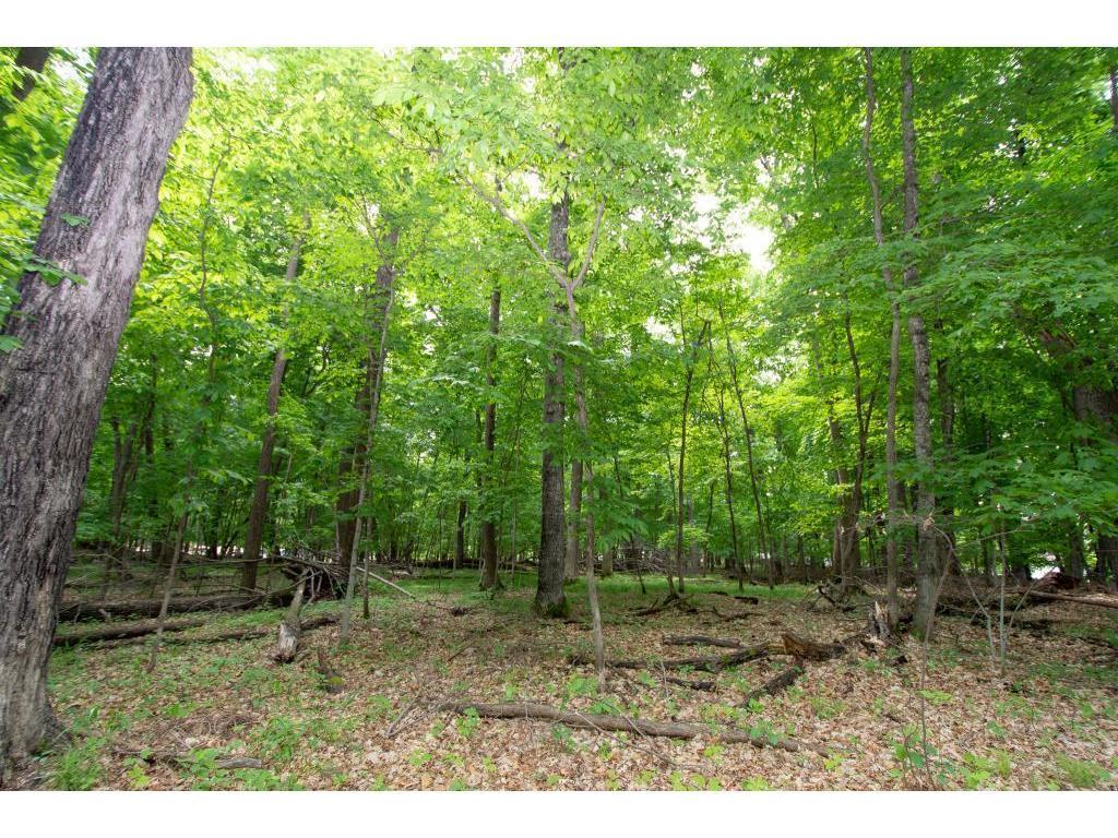 xxx Ginseng Patch Rd Crosslake MN 56442 - Rush-Hen 5505189 image1
