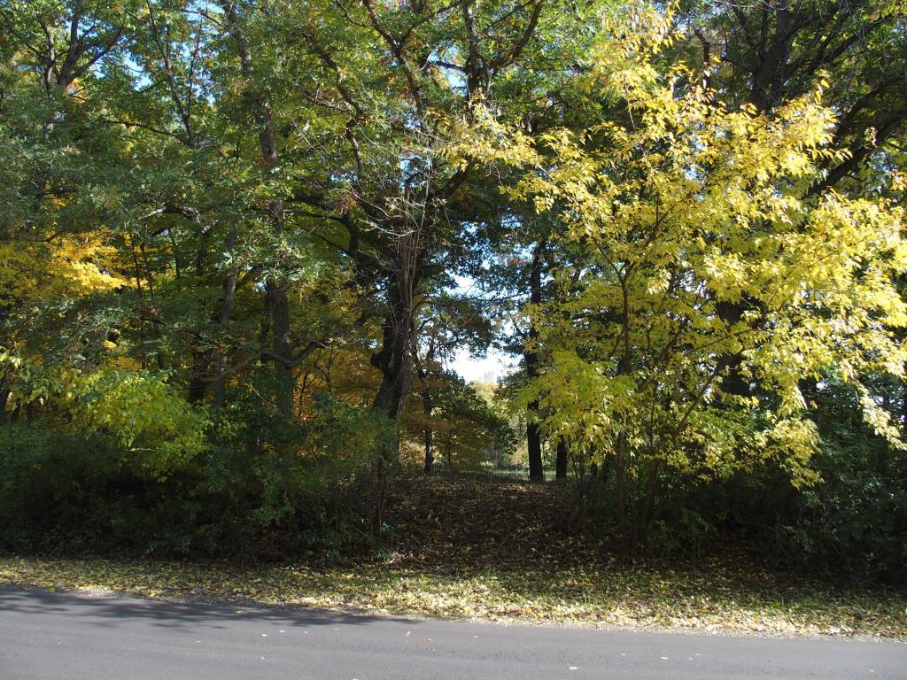 xxx Quail Street Mahtomedi MN 55115 5014402 image1