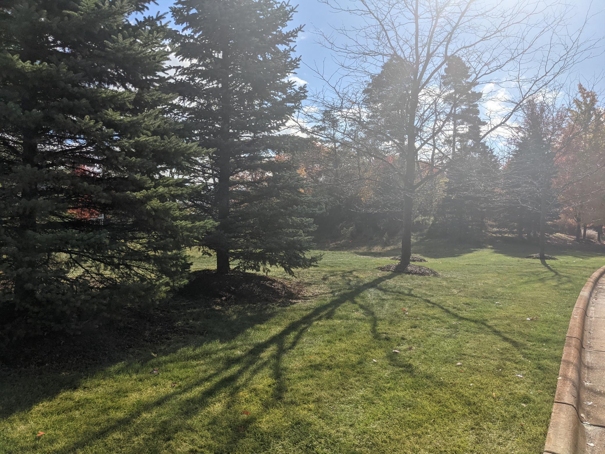 xxxx Karoline Court N Forest Lake MN 55025 - Forest 6121780 image3