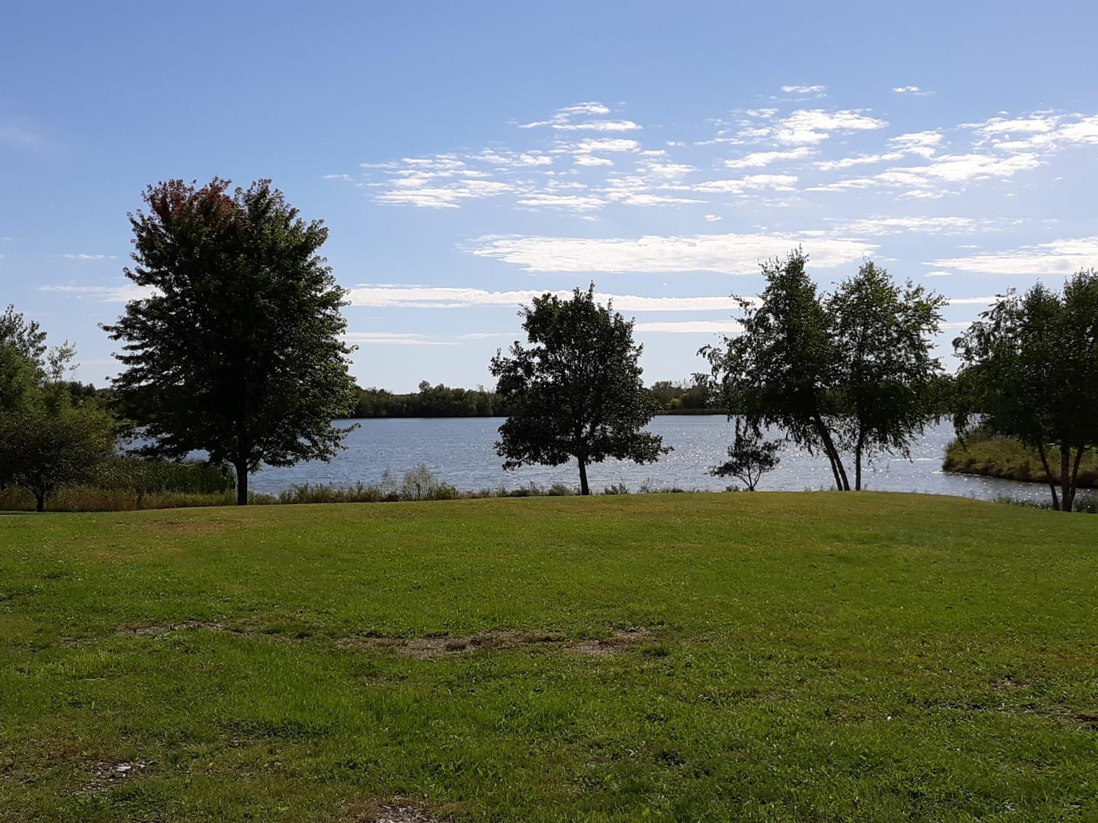 xxxx Lamplight Drive Albertville MN 55301 - School 6151436 image1