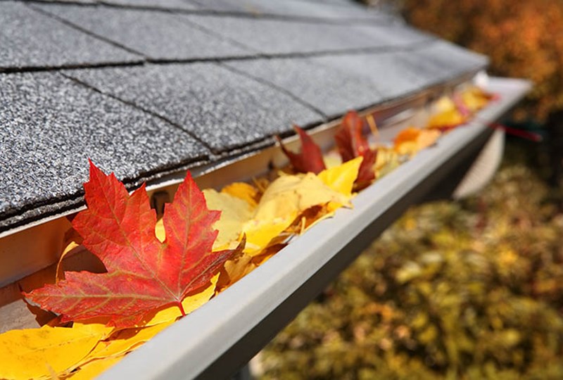 Fall gutter cleaning tips