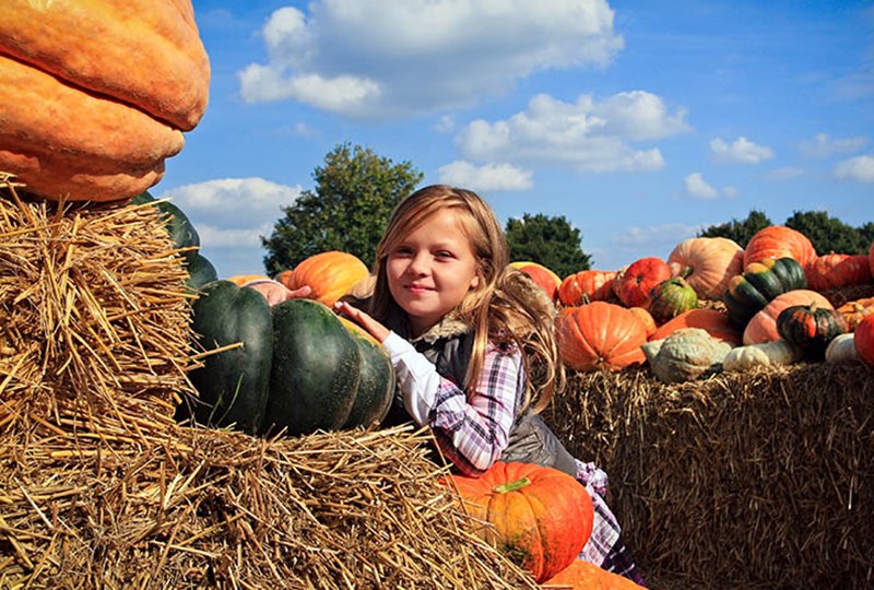 Richfield Pumpkin Patch Extravaganza