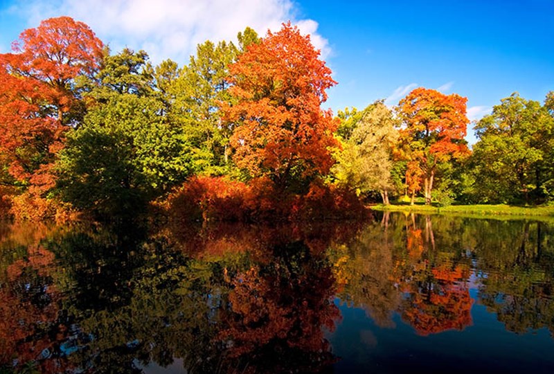 Hudson Wisconsin fall color cruise